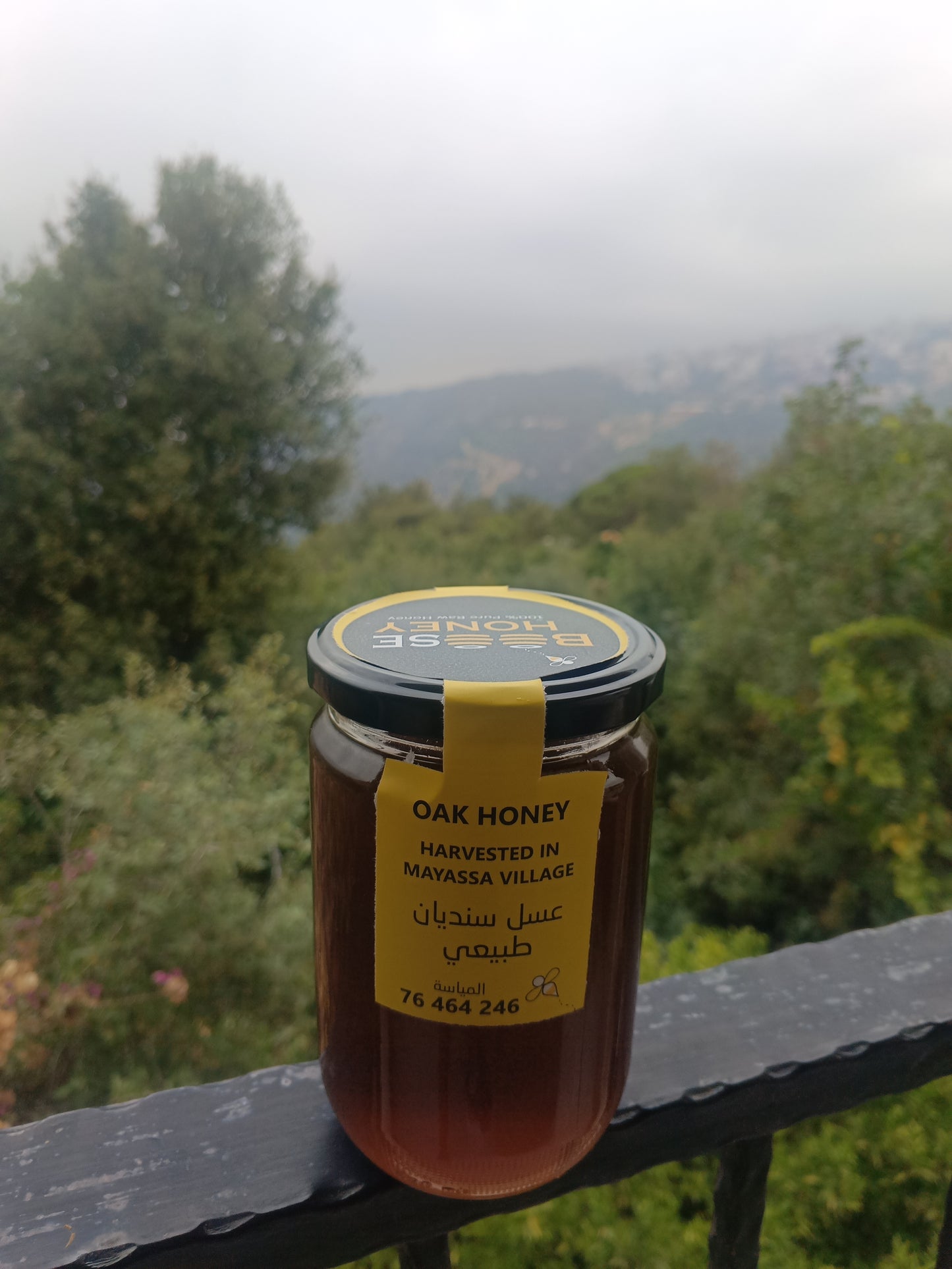 Oak honey
